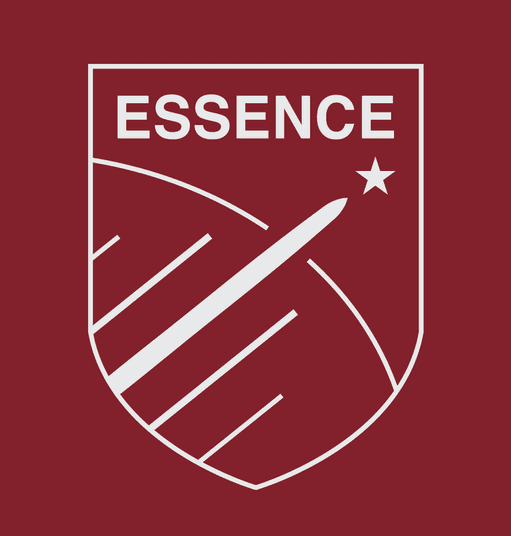 The Essence